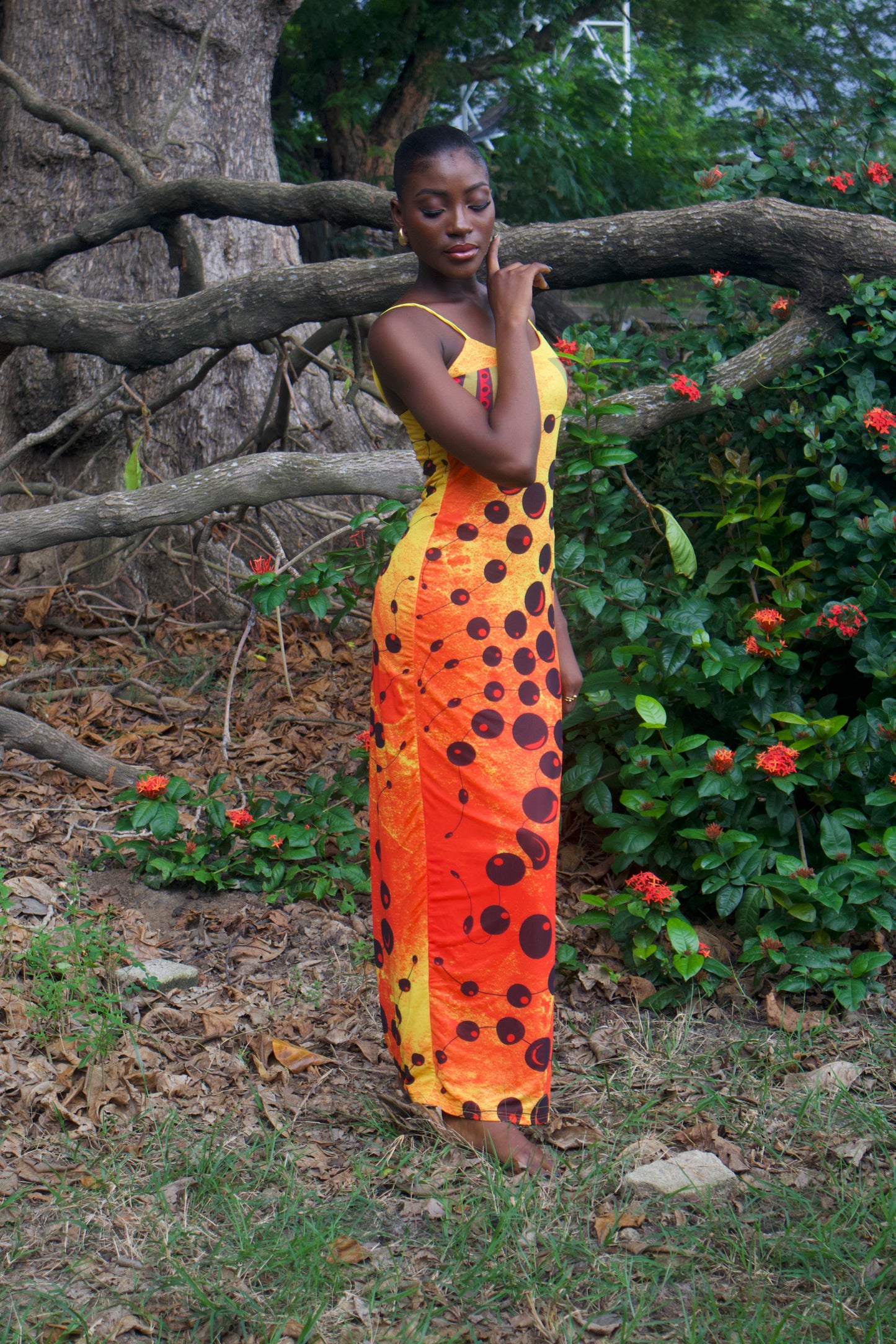 Chi Moon dress